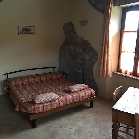 Canino Agriturismo Terre Di Musignano מראה חיצוני תמונה