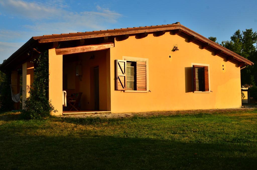 Canino Agriturismo Terre Di Musignano חדר תמונה
