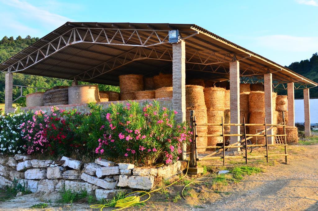 Canino Agriturismo Terre Di Musignano חדר תמונה