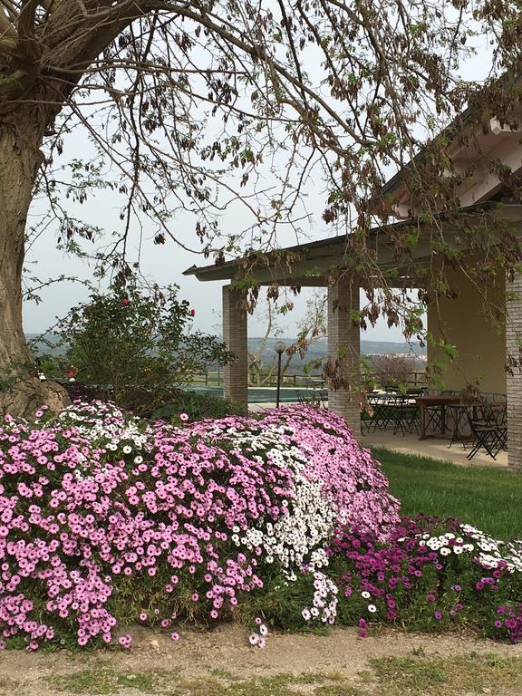 Canino Agriturismo Terre Di Musignano מראה חיצוני תמונה
