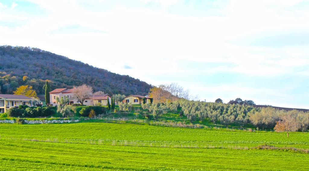 Canino Agriturismo Terre Di Musignano מראה חיצוני תמונה
