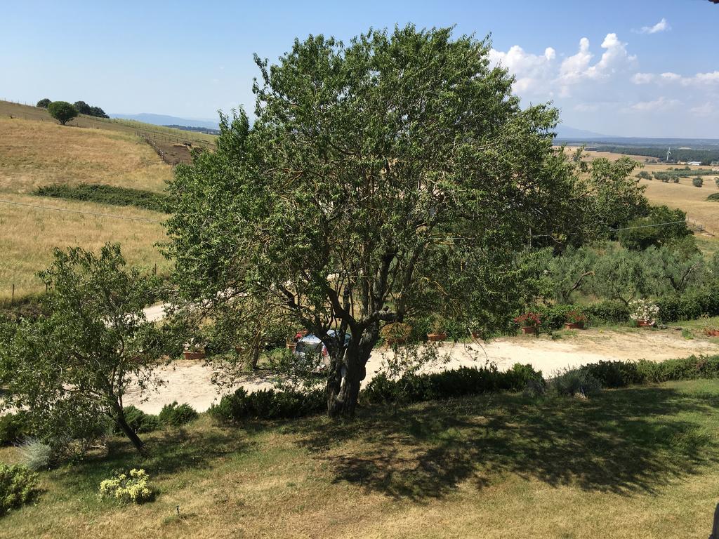 Canino Agriturismo Terre Di Musignano מראה חיצוני תמונה