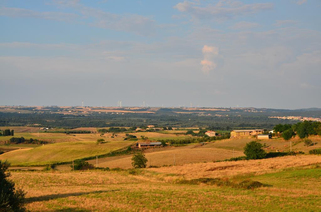 Canino Agriturismo Terre Di Musignano מראה חיצוני תמונה