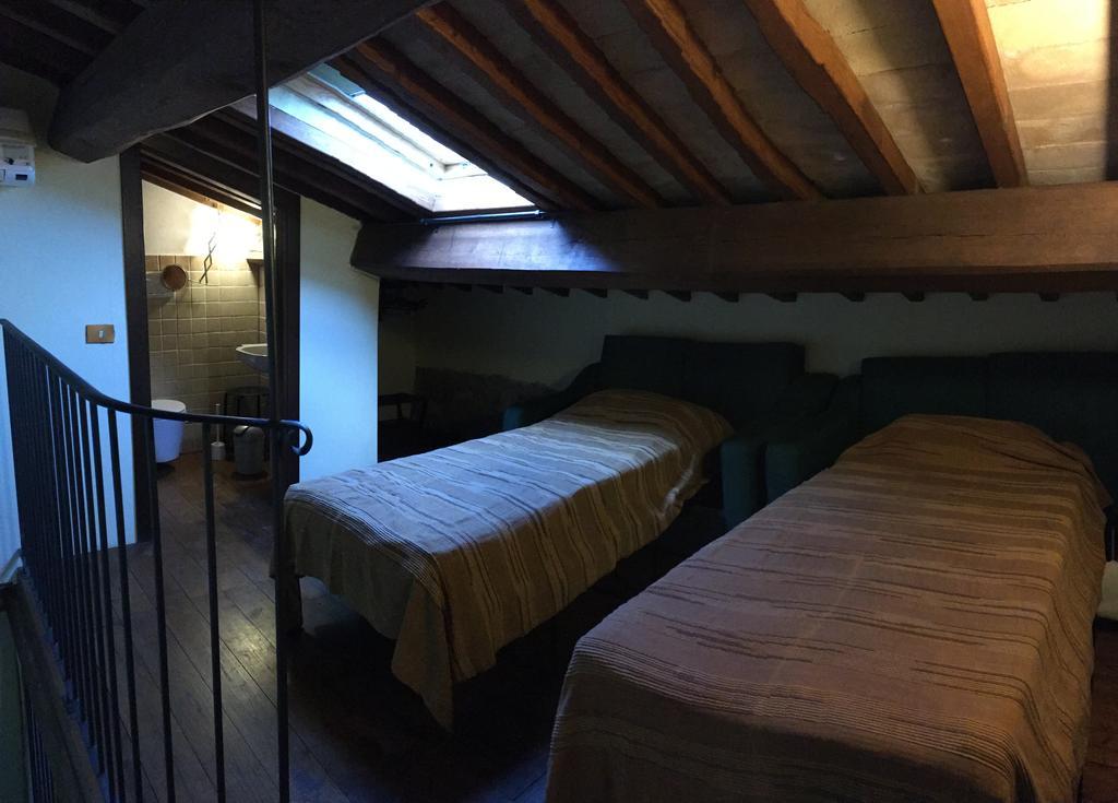 Canino Agriturismo Terre Di Musignano מראה חיצוני תמונה